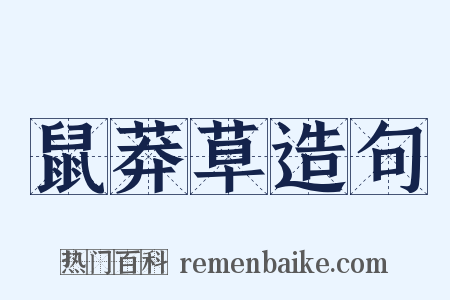 鼠莽草造句是什么意思的图片